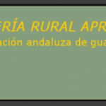 copy-Cabecera31.png